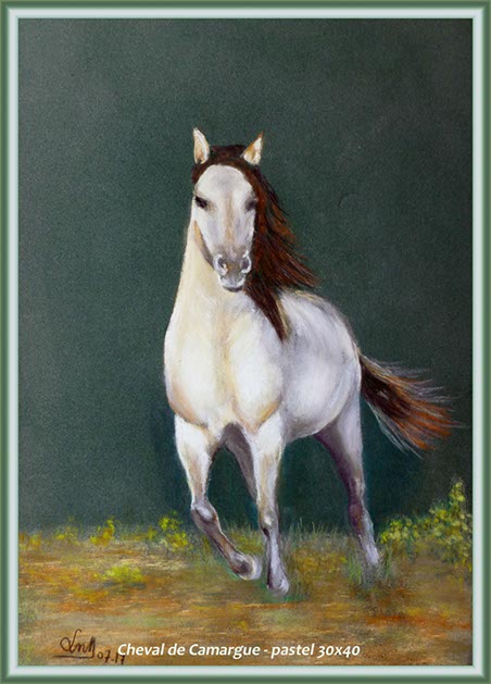 %_tempFileNameCheval-de-Camargue%