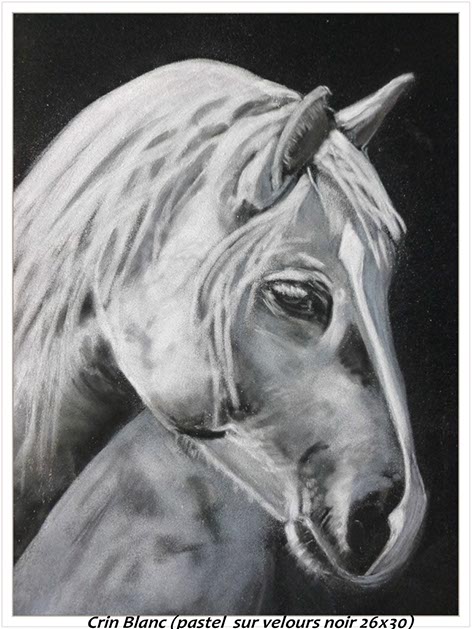 %_tempFileNameCrin-blanc%