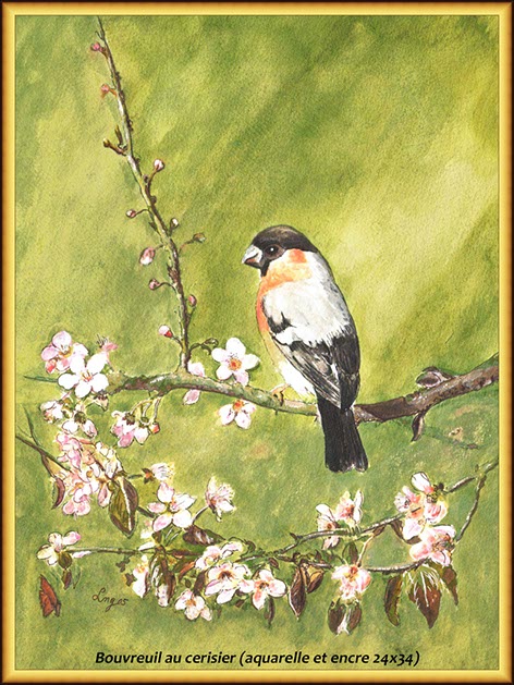 %_tempFileNameZ-Bouvreuil-au-cerisier%