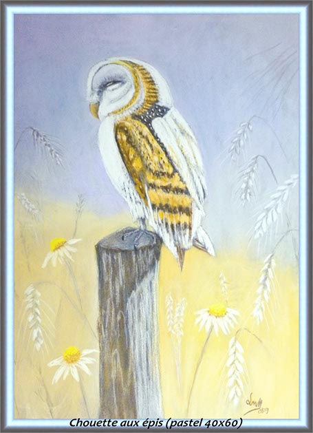 %_tempFileNameZ-Chouette%20aux%20epis%