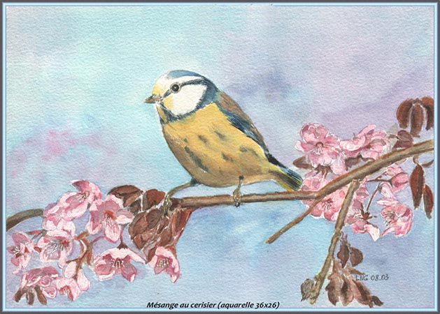 %_tempFileNameZ-Mesange-bleue-au-cerisier%