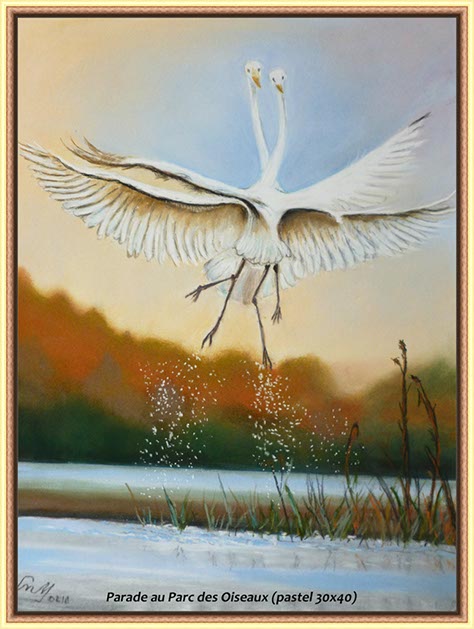 %_tempFileNameZ-Parade-au-parc-des-oiseaux%