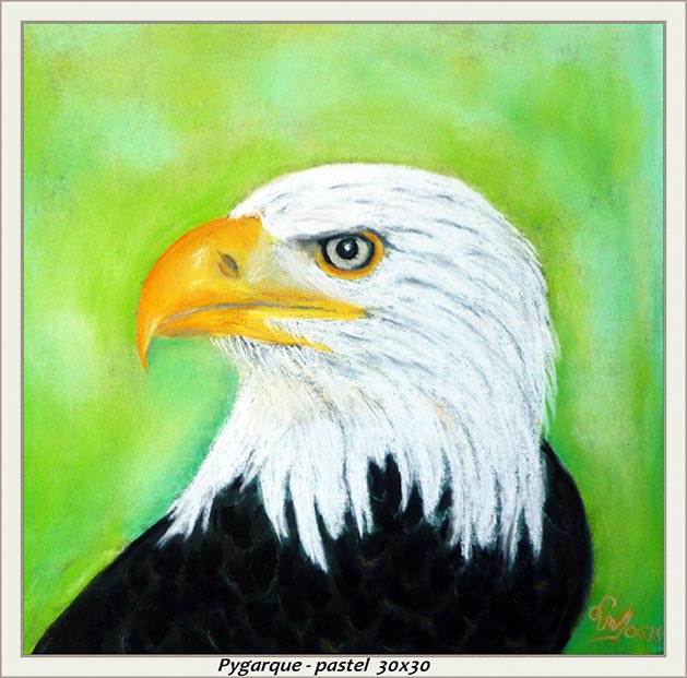 %_tempFileNameZ-Pygarque%