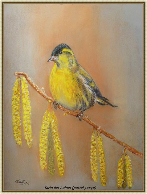 %_tempFileNameZ-Tarin-des-aulnes%