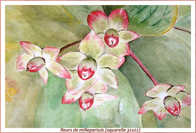 %_tempFileNameFleurs-de-millepertuis%