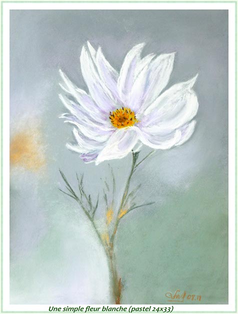 %_tempFileNameSimple%20fleur%20blanche%