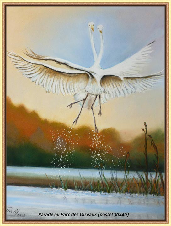 %_tempFileNameParade-au-parc-des-oiseaux%